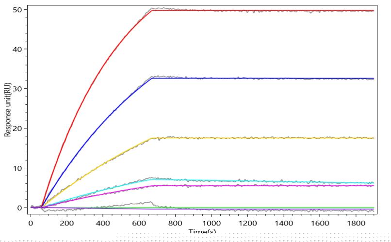 CSB-MP002207HU(A4)-D AC