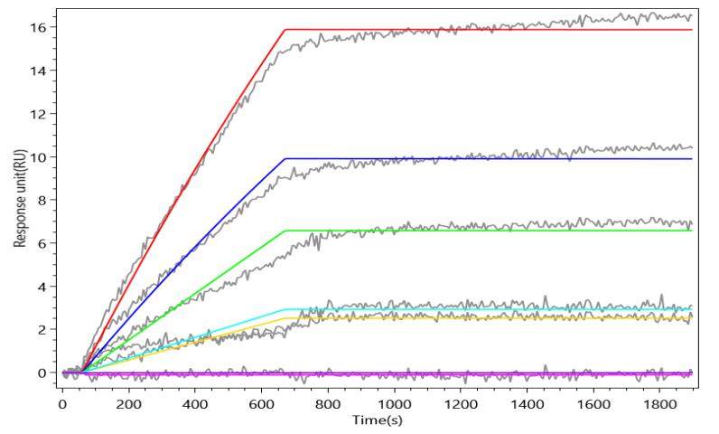 CSB-MP002207RA1b0 AC2