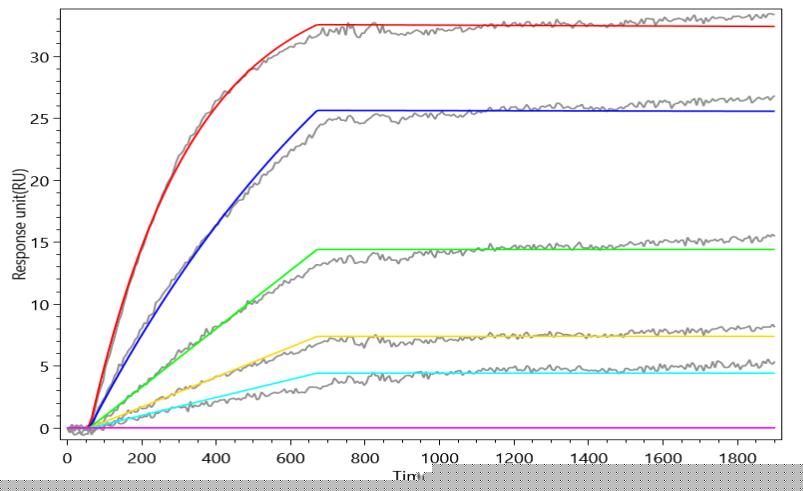 CSB-MP011088HU(A4)(M)