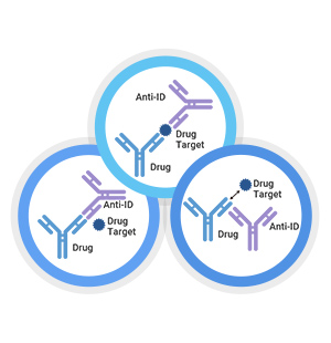 抗獨特型抗體制備服務(wù)