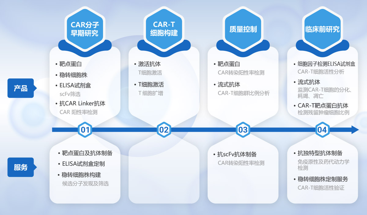 CAR-T細胞治療開發(fā)解決方案