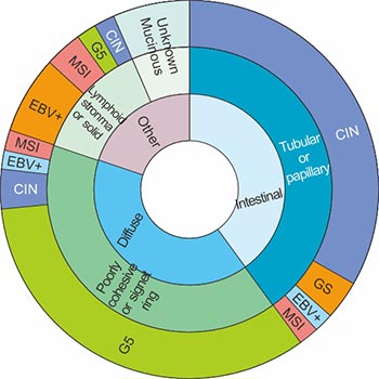 重疊分類(lèi)的圖形描述