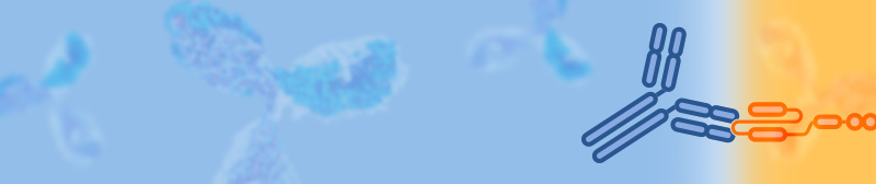 免費試用！抗CAR Linker抗體