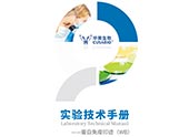 實(shí)驗(yàn)技術(shù)手冊WB