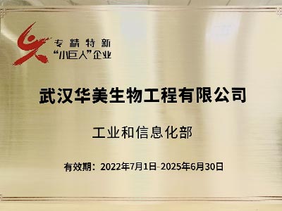 國(guó)家級(jí)專(zhuān)精特新“小巨人”企業(yè)